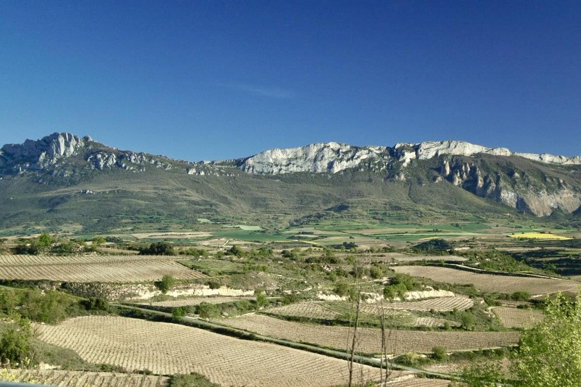 Vinmarker i Rioja, Spanien, med Sierra de Cantabria i baggrunden. Terrasserede marker og frodigt landskab viser regionens ideelle vinforhold.