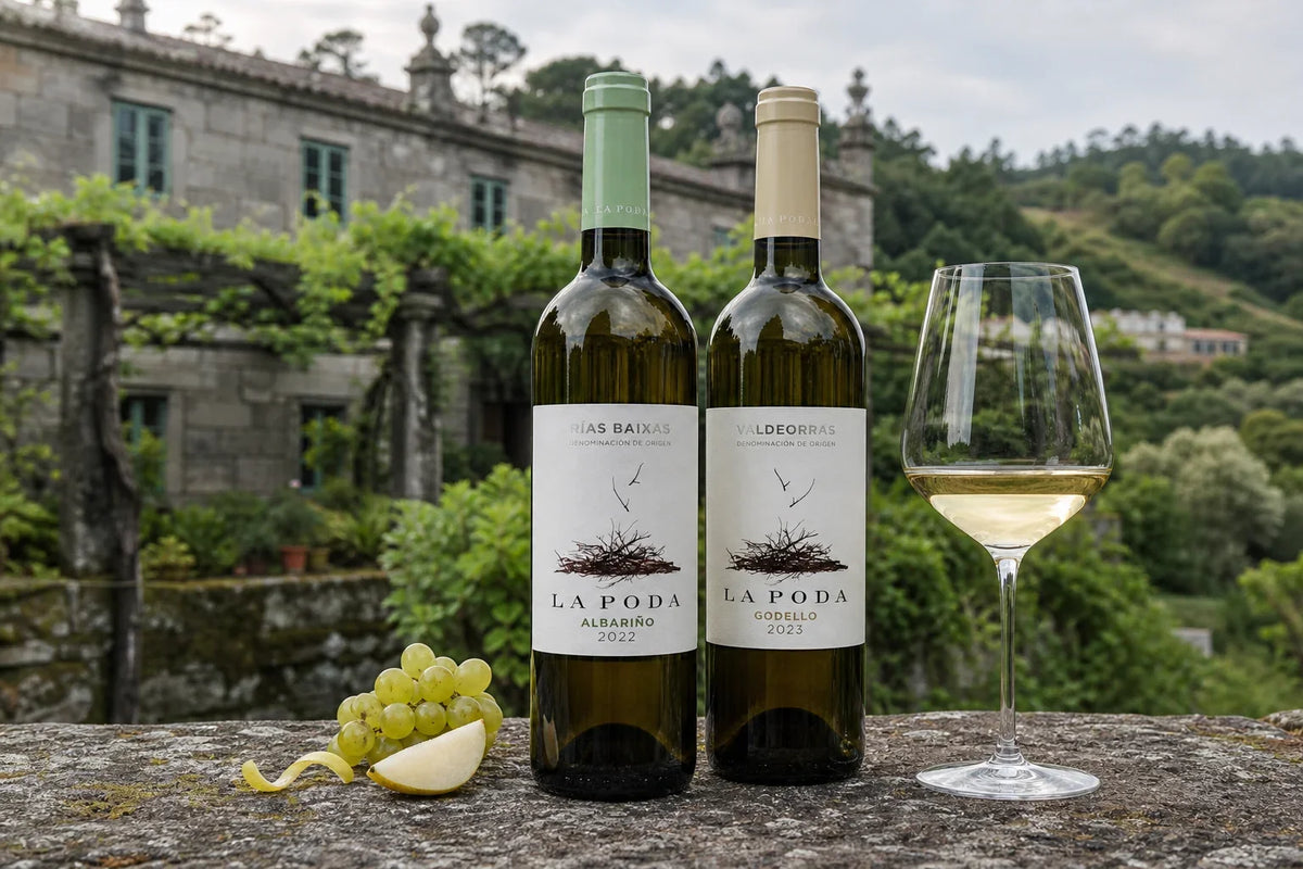 Galicien – vine hos DeVinos