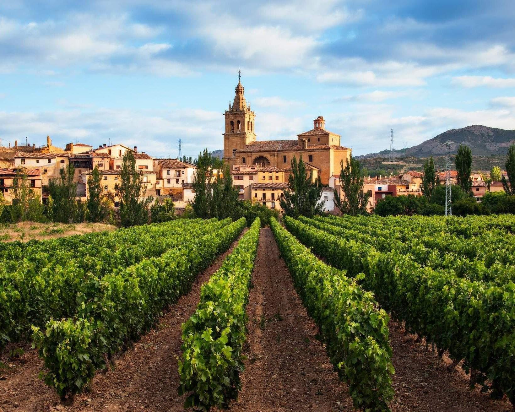 Hvad er Rioja vin? - devinos.dk