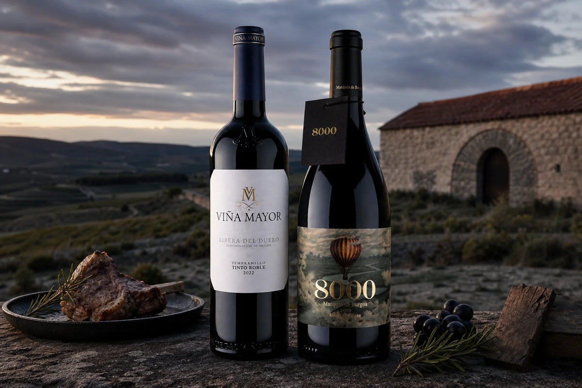 Ribera del Duero-vin