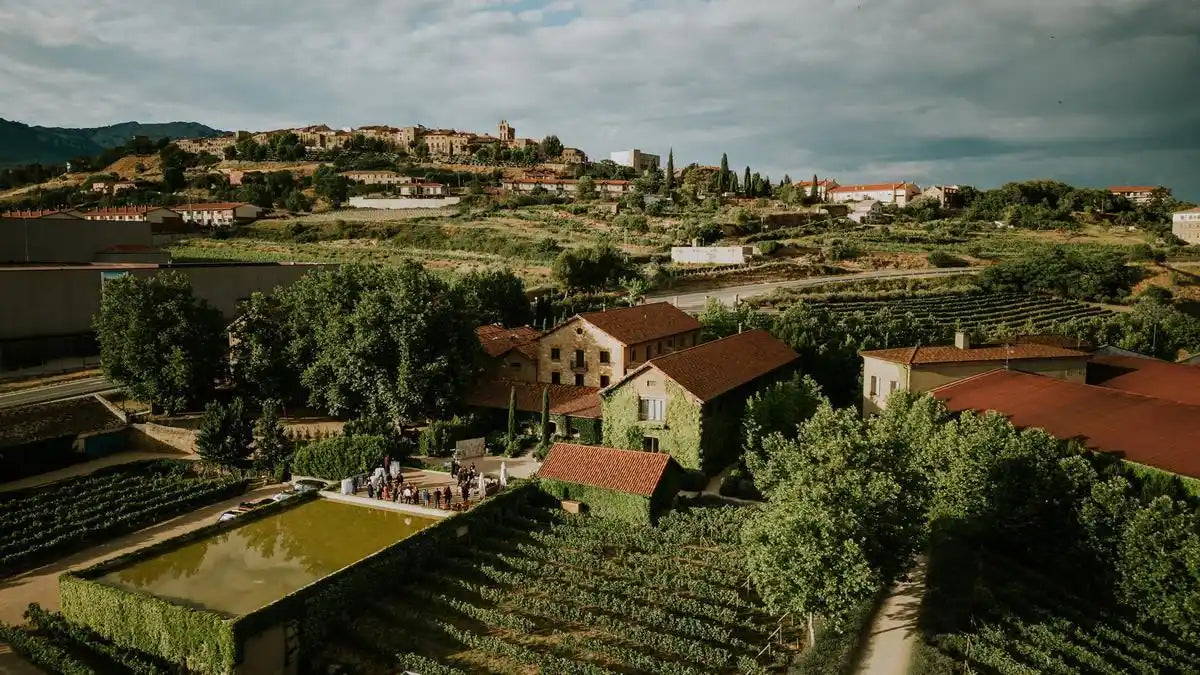 Bodegas Viña Mayor