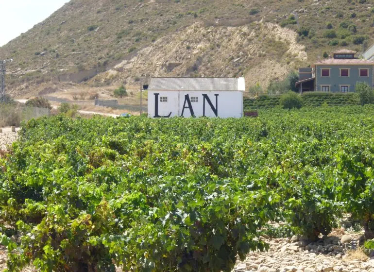 Bodegas LAN