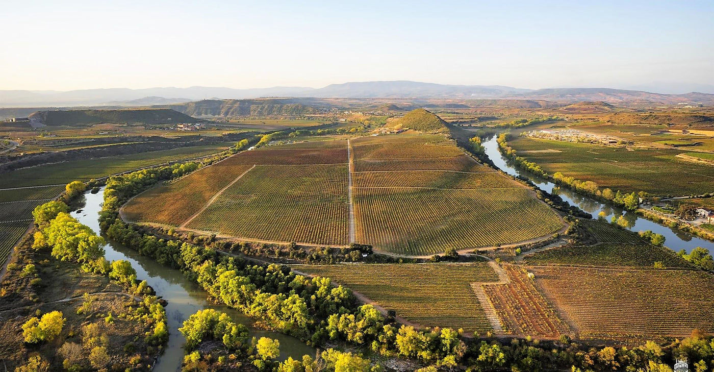 Bodegas LAN