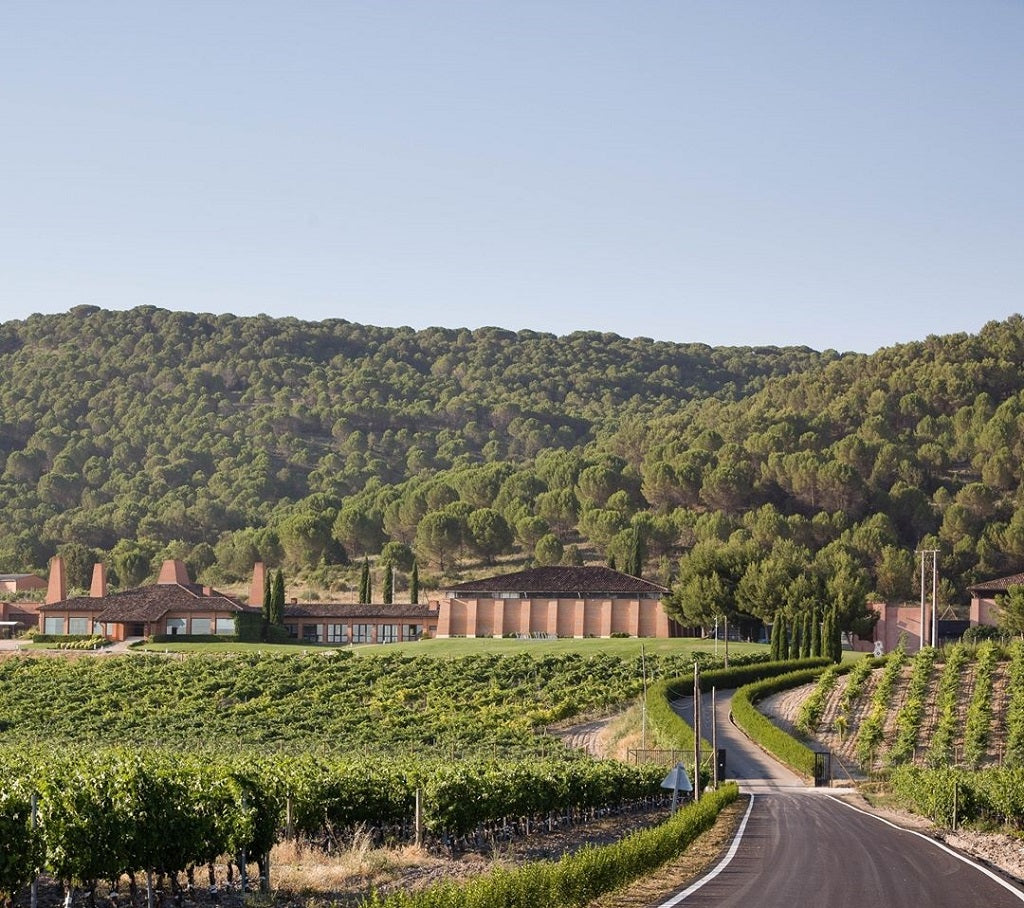 Bodegas Viña Mayor