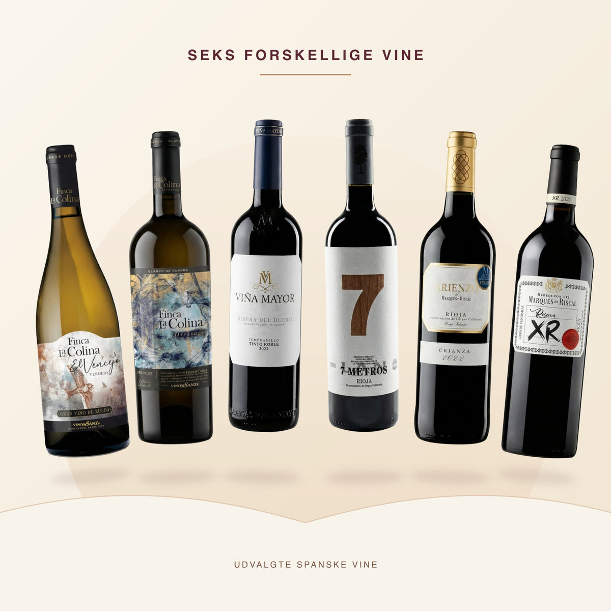 Rioja møder Rueda · seks forskellige vine